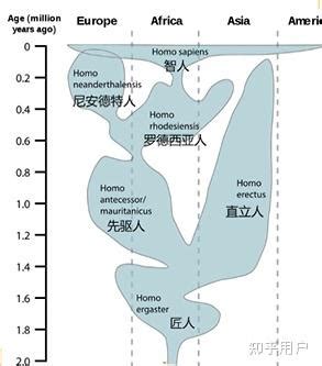 能人意思|能人(H.habilis)匠人(H.ergaster)直立人(H.erectus)到底是什么关。